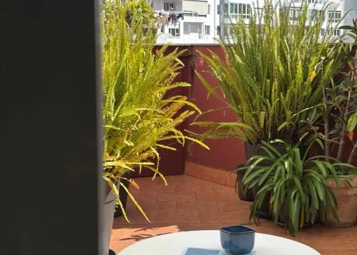 Atlantic-style In The Center